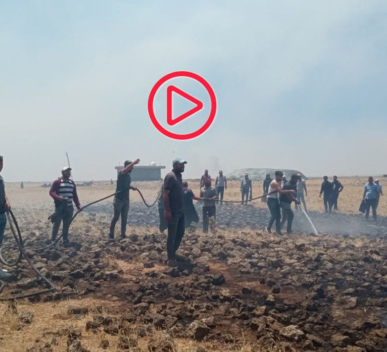 Mardin'de Nusaybin ve Artuklu'da çıkan yangınlar yerleşim yerlerine ilerliyor: Havadan müdahale çağrıları yapıldı
