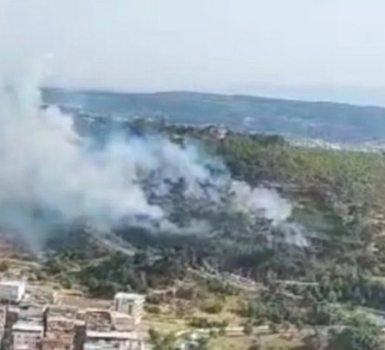 Bornova'da orman yangını