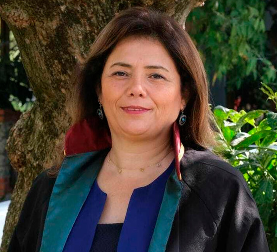 İstanbul Barosu Başkanı Filiz Saraç yeniden adaylığını açıkladı: 'Ön seçim meşru değil'