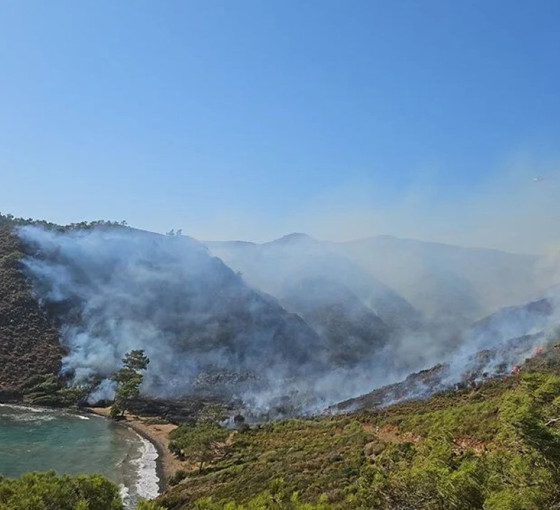 Marmaris'teki orman yangınıyla ilgili gözaltına alınan üç kişi adli kontrolle serbest