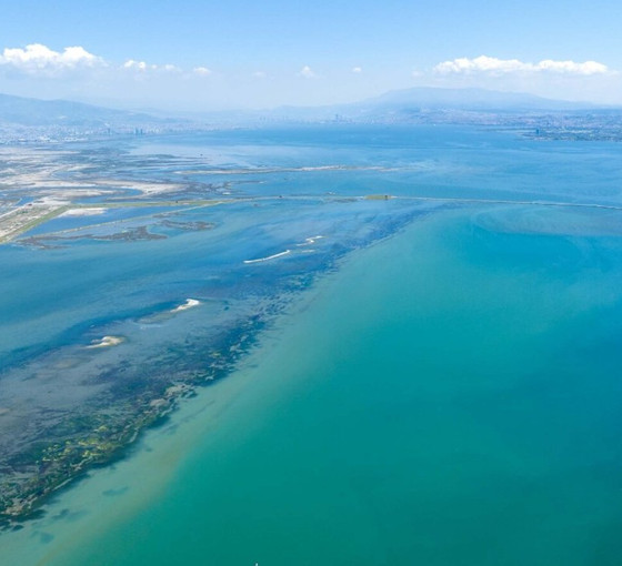 Akdeniz alarm veriyor: 'Deniz suyu tehlike boyutunda sıcaklığa ulaştı'