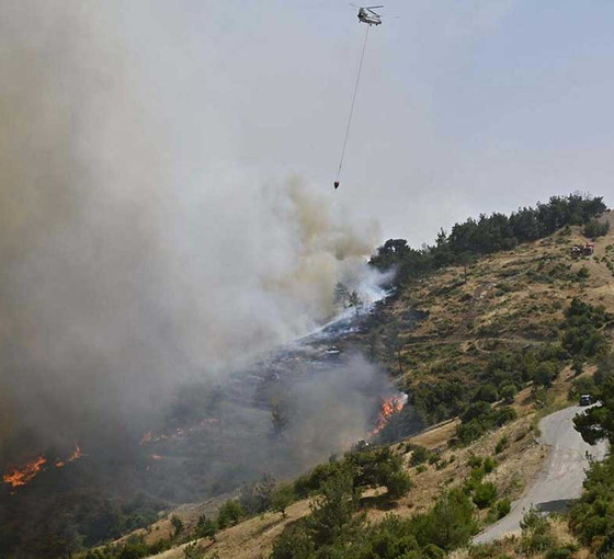 Bornova'daki orman yangını iki gündür devam ediyor