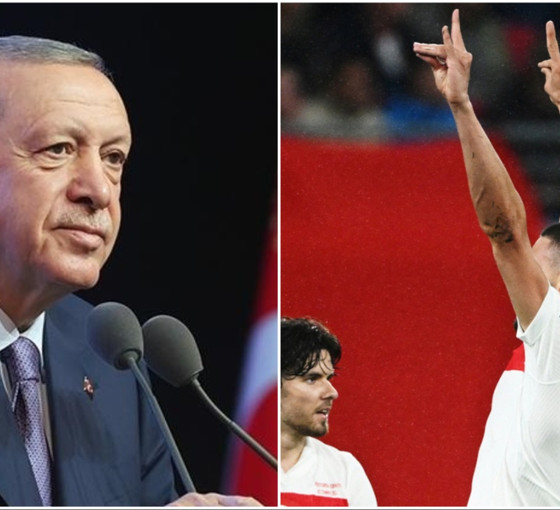 Türkiye-Hollanda maçı öncesi Berlin'de 'bozkurt' ve Erdoğan teyakkuzu