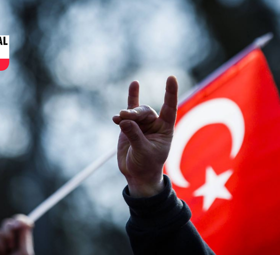 Bozkurt ve faşizmin sıradanlaşması