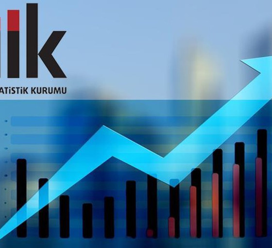 TÜİK, mahkemeye de gerçeği söylemedi