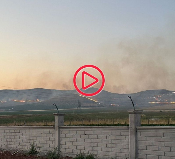 Urfa'da binlerce dönüm mera yandı: Yüzlerce zeytin, badem ve fıstık ağacı kül oldu