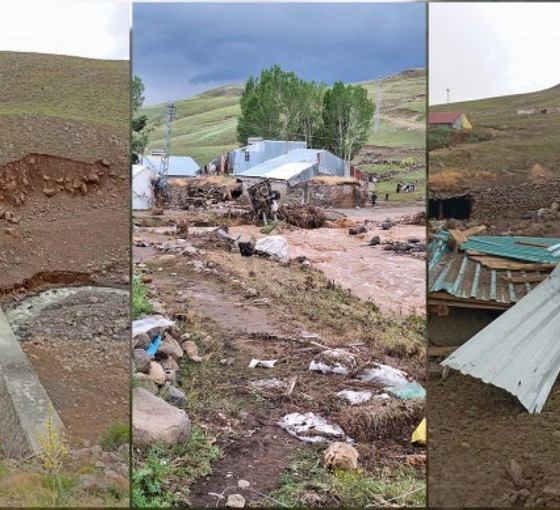 Erzurum'da su seti patladı: Yüzlerce hayvan baraj suyuna kapıldı