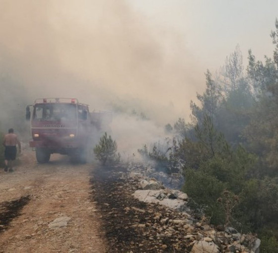 Bodrum'da orman yangını