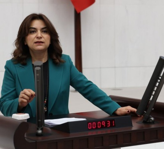 Gülüstan Kılıç Koçyiğit'ten kobay açıklaması: Skandalın arkasında Soylu'nun kuzeni olduğu iddia ediliyor