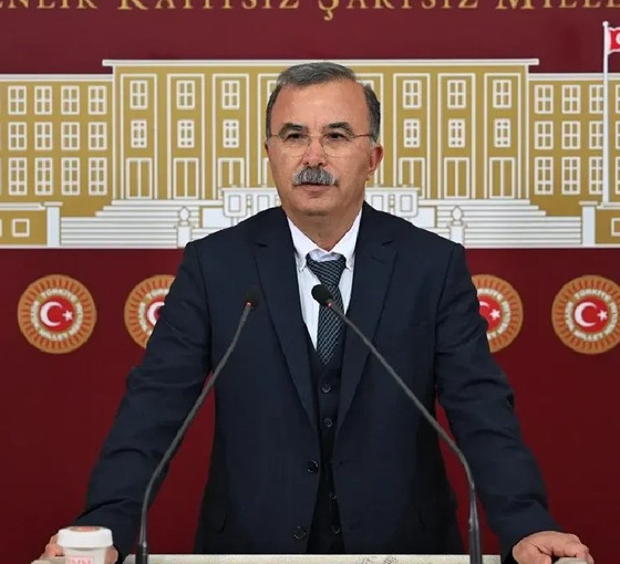 DEM Partili Akın'dan 'Köpek katliamı yasası'na tepki: Ekolojiyi savunan bir parti olarak karşı çıkacağız