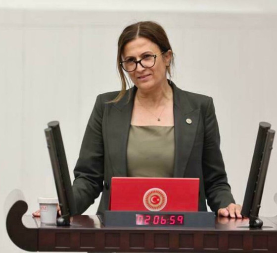 Türkan Elçi'den Diyarbakır'daki saldırılara ilişkin açıklama: Seküler yaşam tarzına karşı tehdit ve şiddet artıyor