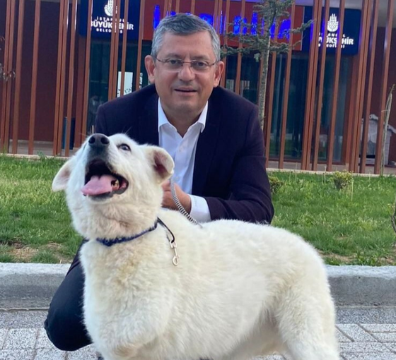 Özgür Özel, sokak hayvanları için başlatılan "Katliam yasasına hayır" etiketine destek verdi