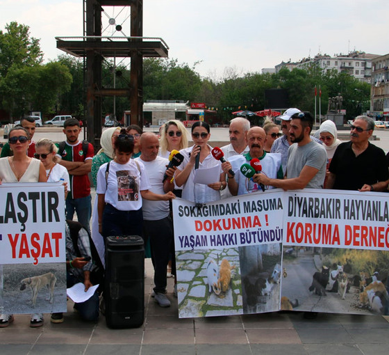 Hayvanseverler Diyarbakır'dan seslendi: 'Kan kokan yasa teklifi geri çekin, sokağımdaki masuma dokunma'