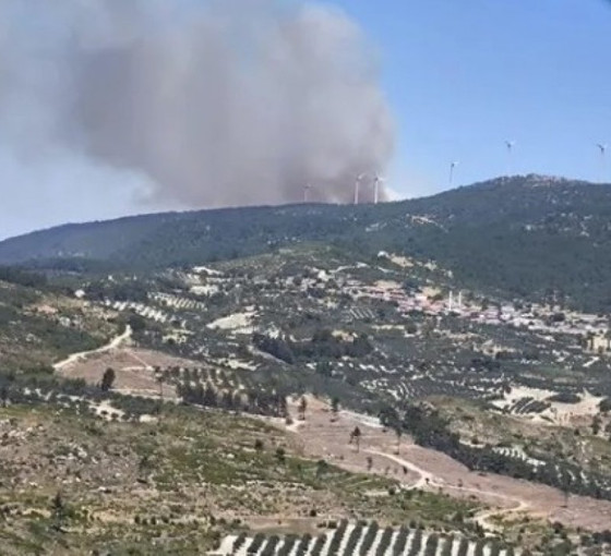 Ege'de üç bölgede orman yangını