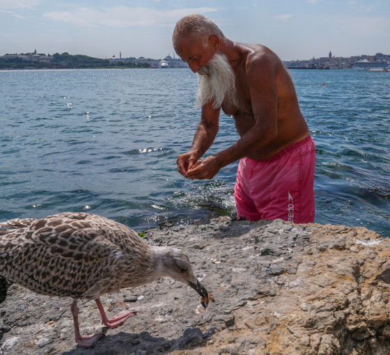 İstanbul'da sıcak hava ve nem bunalttı, sahillerde yoğunluk oluştu