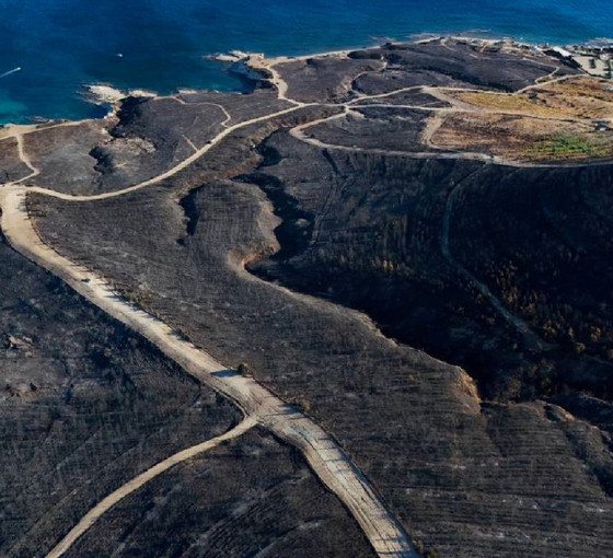 Çeşme'deki yangına ilişkin iki kişi tutuklandı