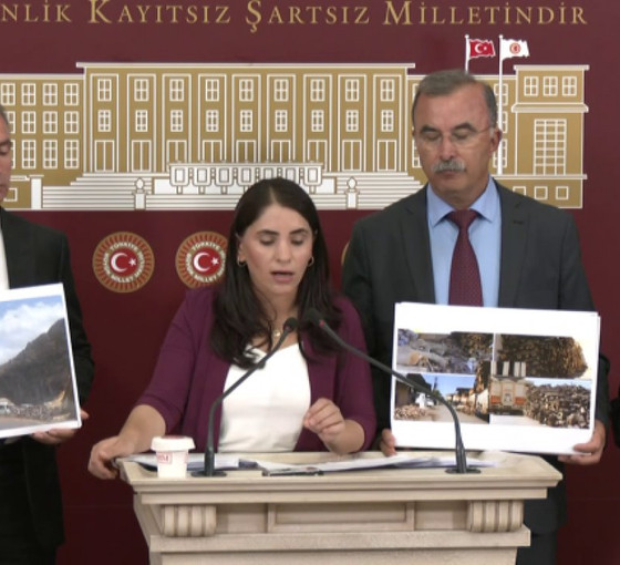 DEM Parti'den Şırnak'taki ağaç kesimine tepki: Bu talanı durdurun