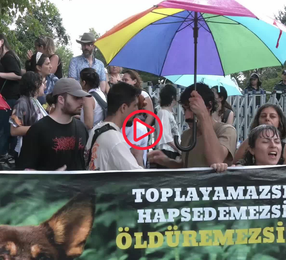 Hayvan hakları savunucularına Meclis önünde polis müdahalesi