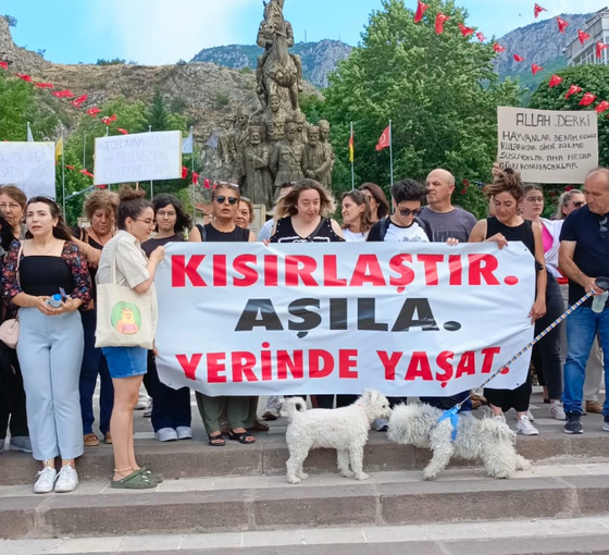 'Katliam Yasası' Amasya'da protesto edildi: 'Hayvanların öldürülmesini asla kabul etmiyoruz'