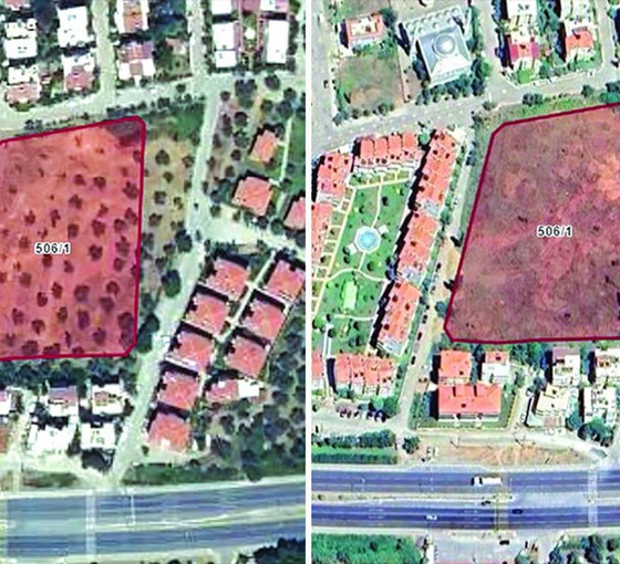 100 yıllık zeytin ağaçlarını 6 bin TL'ye kestiler: 48 daire inşa edilecek