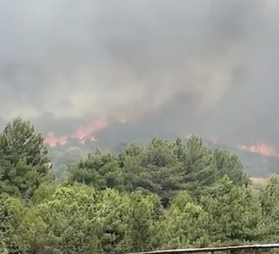 Foça'da orman yangını