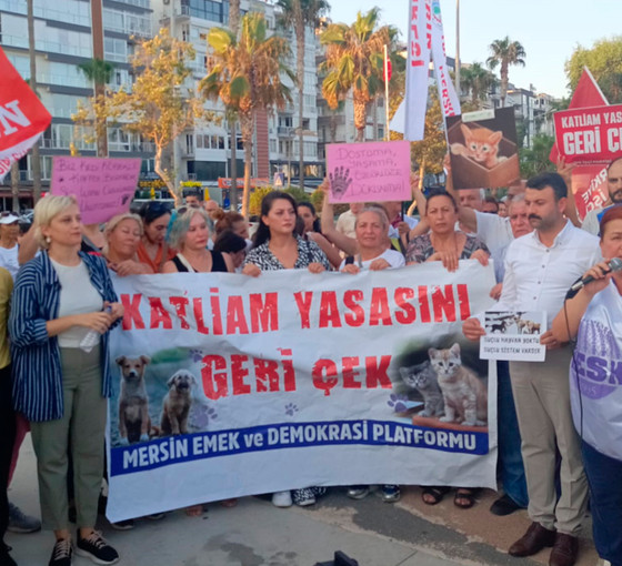 'Katliam Yasası' Mersin'de protesto edildi: 'Toplayamazsın, hapsedemezsin, öldüremezsin'