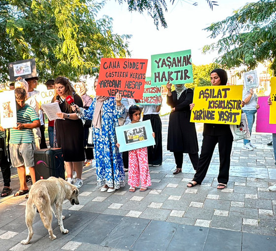 Urfa'da 'katliam yasası' protesto edildi