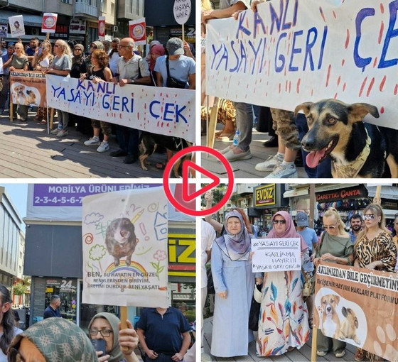 Saadet Partisi 'Katliam Yasası'nı protesto etti: 'Ötanazi infiale yol açabilir'