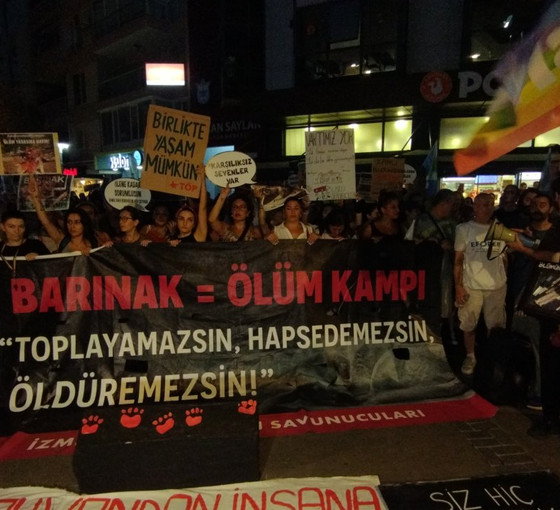 Hayvan hakları savunucularından "ötanazi" protestosu: 'Mecliste onaylansa da uygulanmasına izin vermeyeceğiz'