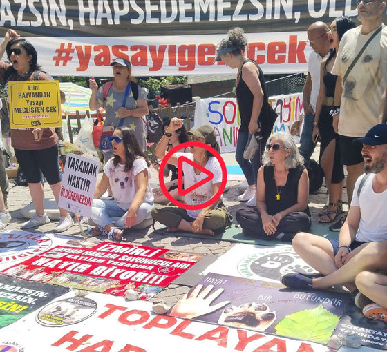 ‘Katliam Yasası’ görüşülüyor: ‘Biz Meclis’te mücadele edeceğiz, 85 milyon sokakta dirensin’