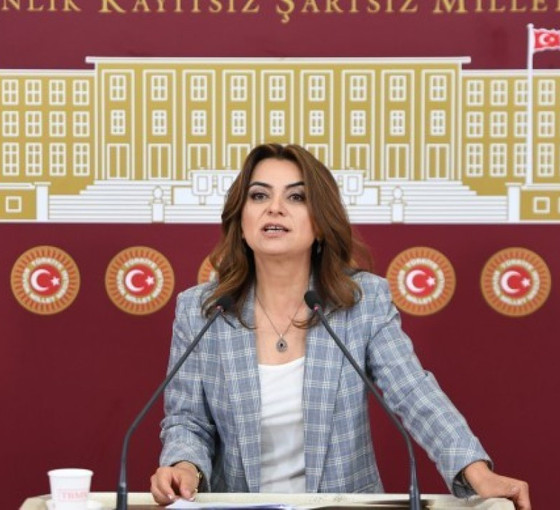 Koçyiğit: Emekliler mücadeleleriyle AKP'nin sonunu getirecek