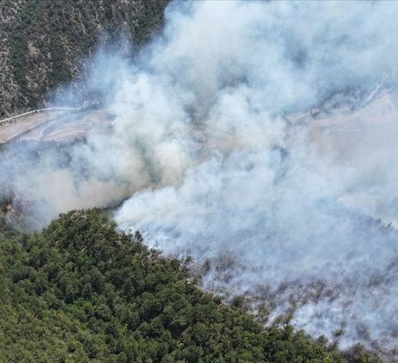 Karabük'te çıkan orman yangını kontrol altına alındı