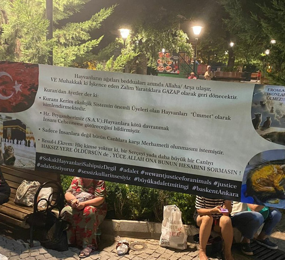 Meclis'te Komisyon çalışmaları sürerken, Kuğulu Park'ta protesto: 'Çek, çek, yasayı çek'