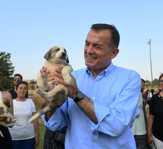 CHP'li başkandan sokak hayvanları için ek vergi önerisi