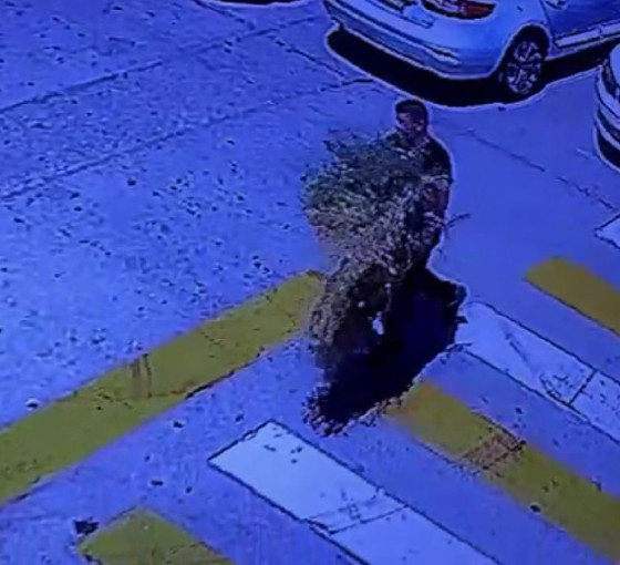 Van'da 'çöp' provokatörleri hakkında suç duyurusu
