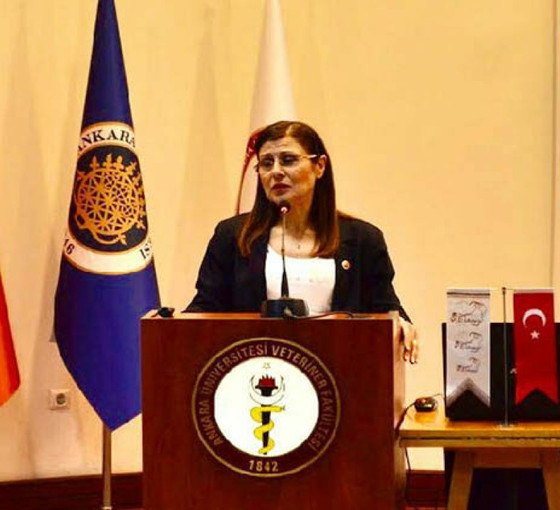 Veteriner Hekimleri Derneği: ‘Genel Başkanımızın girişi 28'inci dönem boyunca yasaklandı’