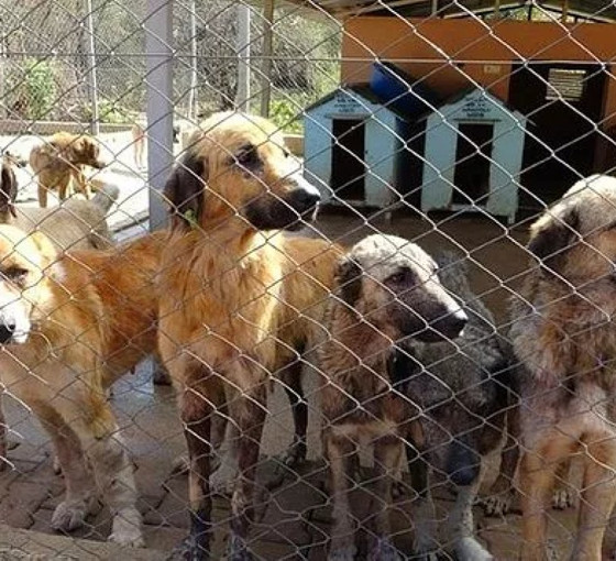 'Katliam Yasası' 42 saatlik tartışmalı görüşmelerin ardından komisyonda kabul edildi