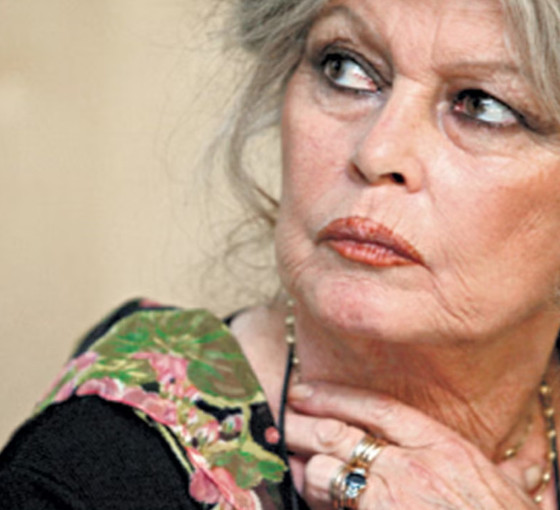 Brigitte Bardot'dan Erdoğan'a sokak hayvanları için mektup