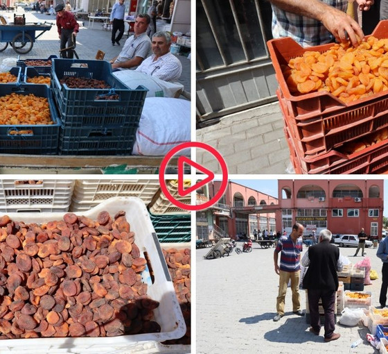 Malatya’da kayısı üreticisi de tüccar da dertli