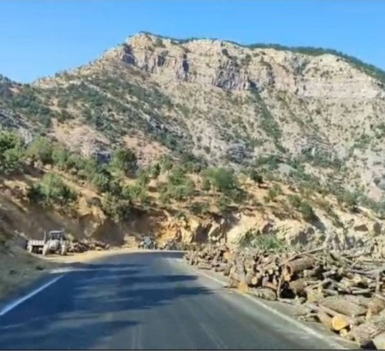 Şırnak Barosu orman kıyımına karşı bakanlığa dava açacak
