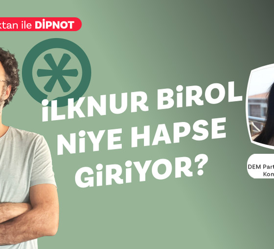 İlknur Birol niye hapse giriyor?: 'Açık bir kuralsızlık rejiminde yaşıyoruz'
