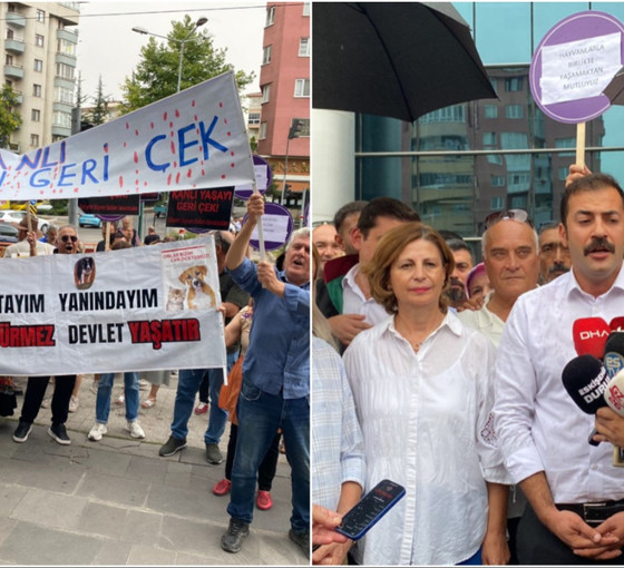 'Katliam Yasası' eleştirisine soruşturma açılmıştı... CHP'li Yalaz: 'Susmayacağız, daha çok mücadele edeceğiz'