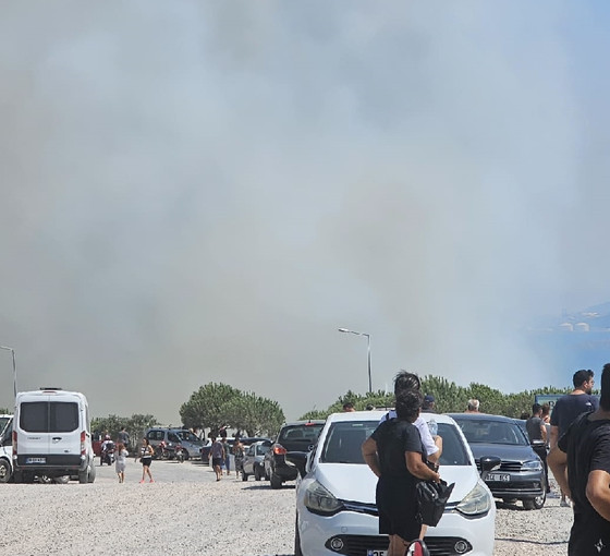 İzmir Dikili'de orman yangını: Bir site tahliye edildi
