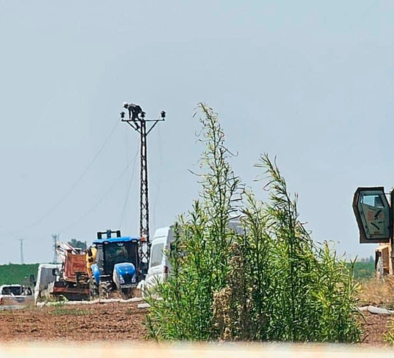 DEDAŞ’a karşı çıkan 4 kişi gözaltına alındı
