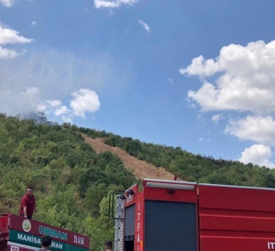 Muğla ve Manisa'daki yangınlar söndürüldü