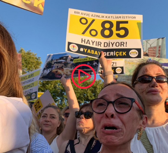 Hayvan hakları savunucuları İstanbul’da ‘büyük eylem’ düzenledi: Hayvanları vermeyeceğiz
