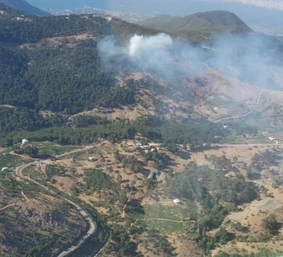 İzmir'de çıkan orman yangını kontrol altına alındı