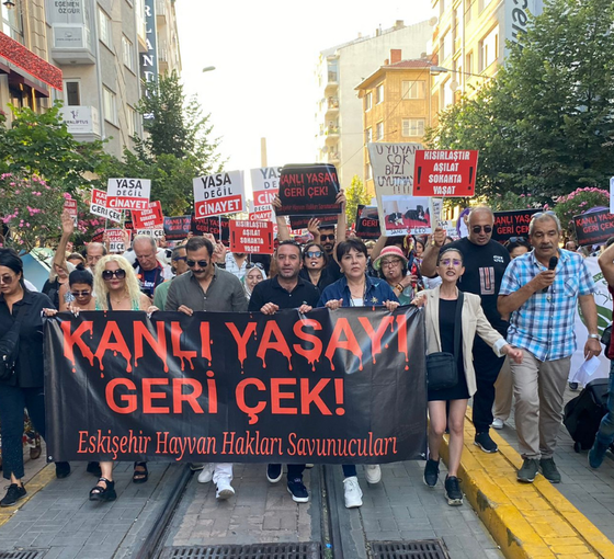 Yüzlerce kişi sokak hayvanları için Ulus Anıtı’ndan Yediler Parka yürüdü: 'Yasayı geri çek'