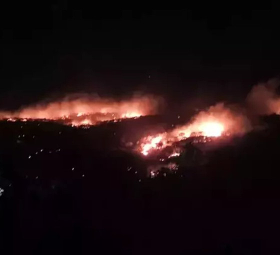 Mazıdağı'ndaki orman yangını kontrol altına alındı