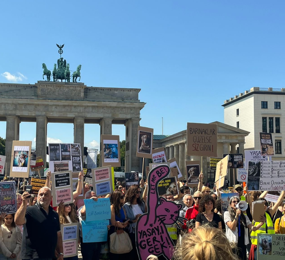'Katliam Yasası', Avrupa'nın birçok noktasında protesto edildi
